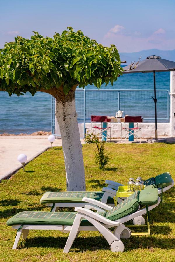 Kiko, The Coastline House Villa Kato Achaia Exterior photo